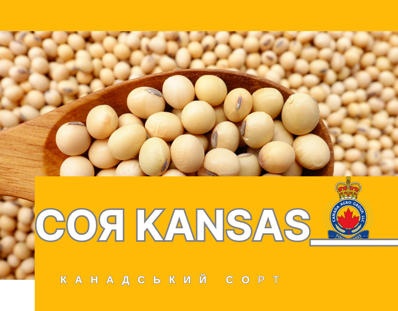 КАНАДСЬКИЙ ТРАНСГЕННИЙ СОРТ СОЇ KANSAS
