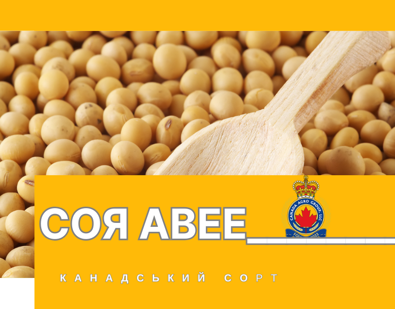 КАНАДСЬКИЙ ТРАНСГЕННИЙ СОРТ СОЇ ABEE