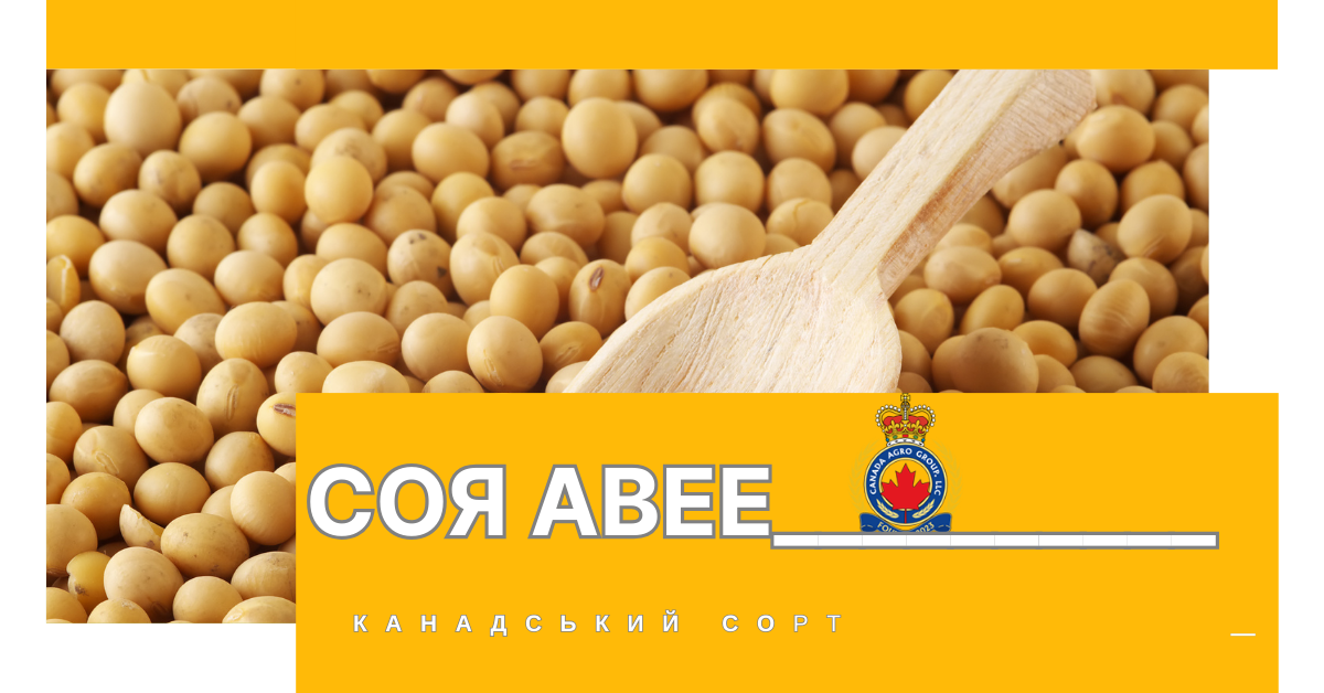 КАНАДСЬКИЙ ТРАНСГЕННИЙ СОРТ СОЇ ABEE