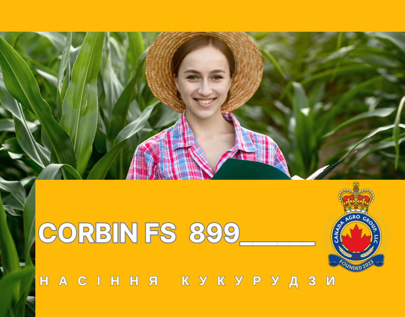 КАНАДСЬКИЙ ТРАНСГЕННИЙ ГІБРИД КУКУРУДЗИ CORBIN FS - 899 ФАО 260