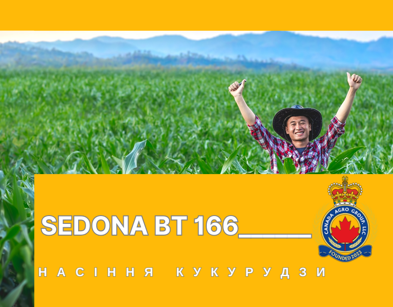 КАНАДСЬКИЙ ТРАНСГЕННИЙ ГІБРИД КУКУРУДЗИ SEDONA BT 166 ФАО 180