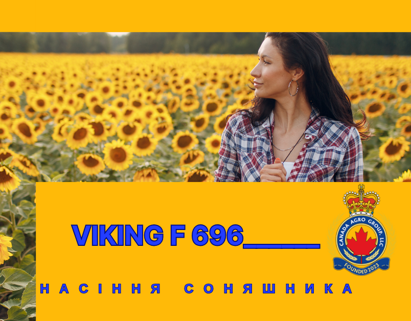 КАНАДСЬКИЙ ТРАНСГЕННИЙ ГІБРИД КОНДИТЕРСЬКОГО СОНЯШНИКУ VIKING F 696