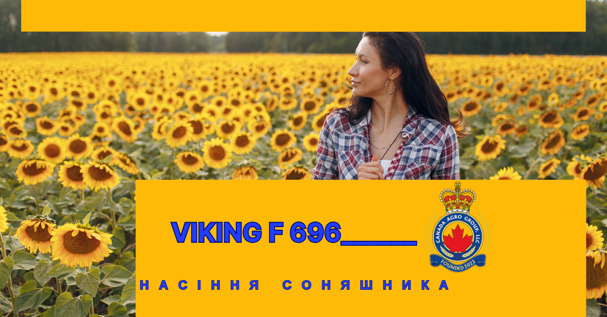 КАНАДСЬКИЙ ТРАНСГЕННИЙ ГІБРИД КОНДИТЕРСЬКОГО СОНЯШНИКУ VIKING F 696