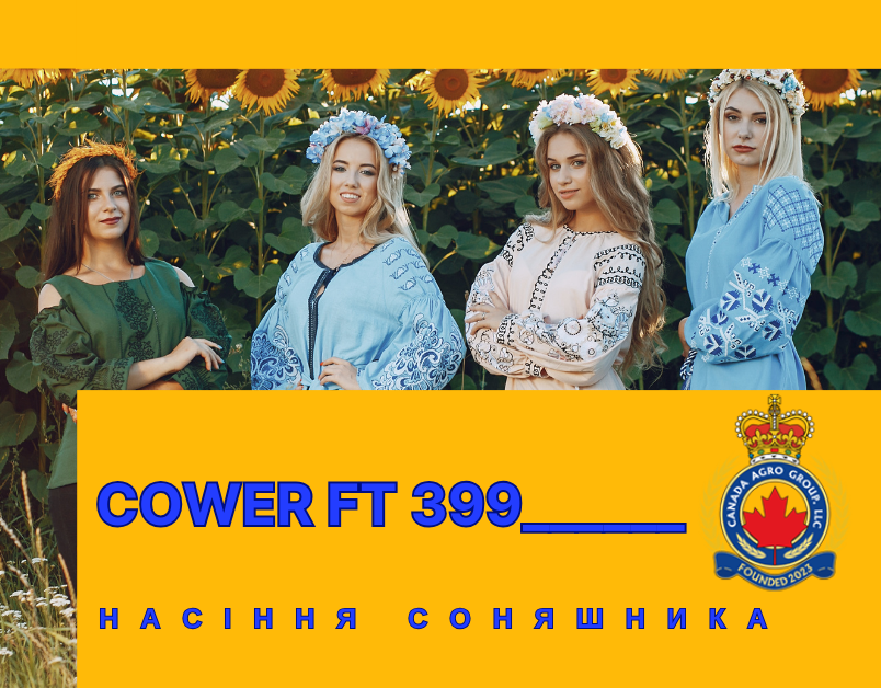 КАНАДСЬКИЙ ГІБРИД ОЛІЙНОГО СОНЯШНИКУ ПІД ЄВРОЛАЙТІНГ COWER FT 399