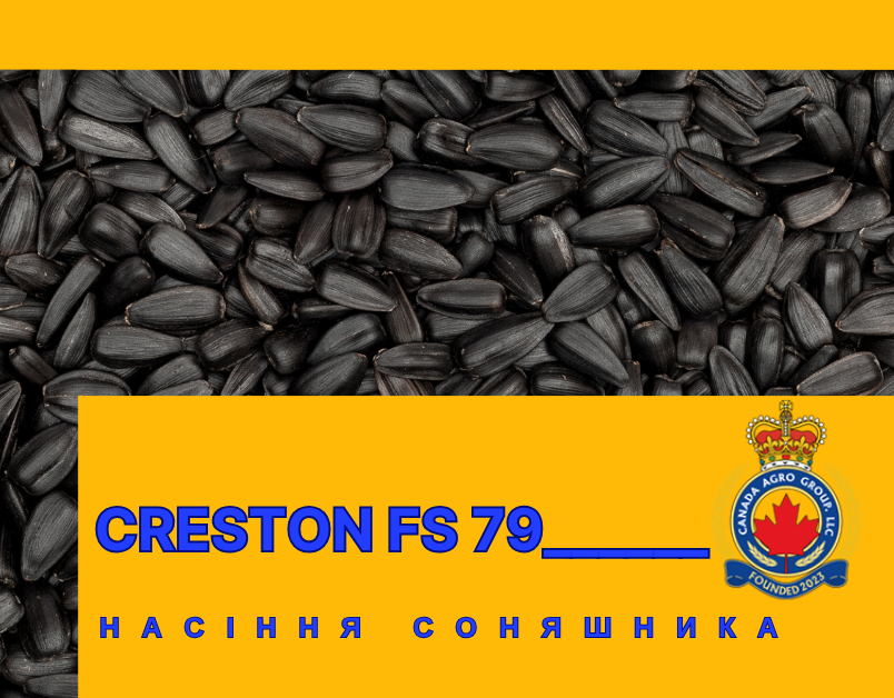КАНАДСЬКИЙ ТРАНСГЕННИЙ ОЛІЙНИЙ ГІБРИД  СОНЯШНИКУ CRESTON FS 799