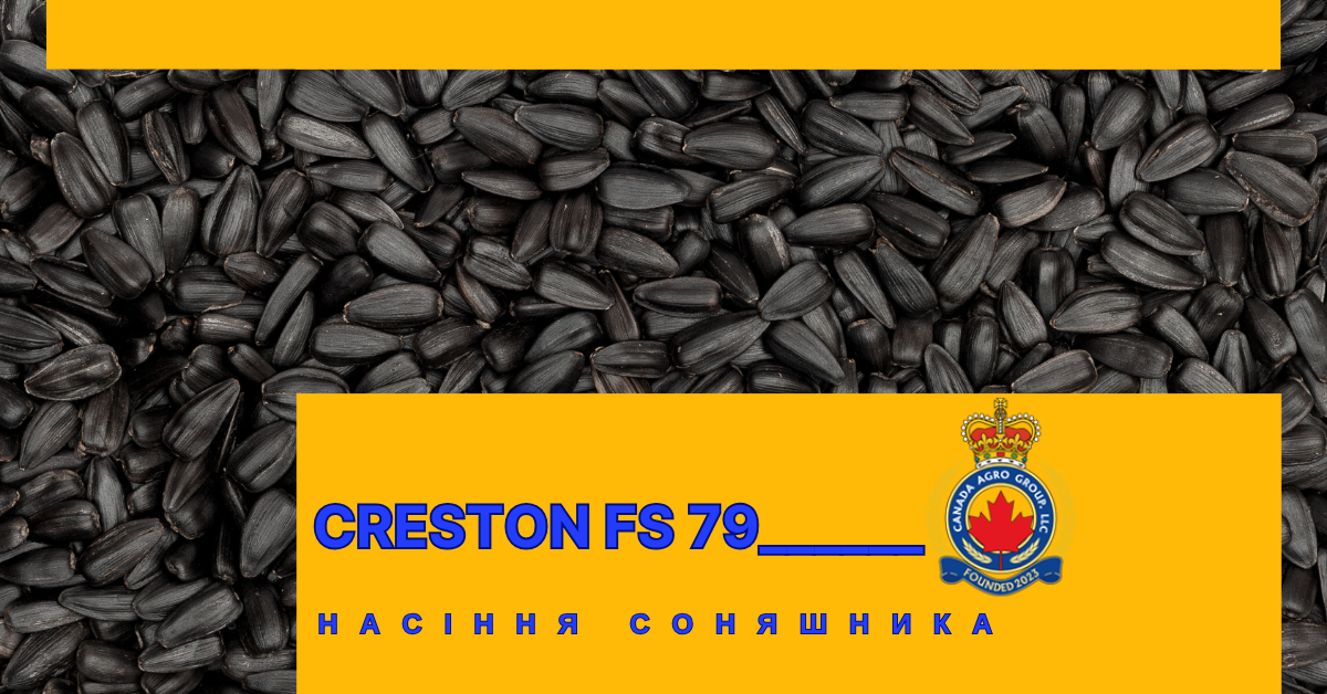 КАНАДСЬКИЙ ТРАНСГЕННИЙ ОЛІЙНИЙ ГІБРИД СОНЯШНИКУ CRESTON FS 799
