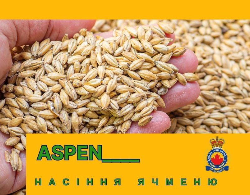 НАСІННЯ ЯЧМЕНЮ ASPEN КАНАДСЬКИЙ ТРАНСГЕННИЙ СОРТ (ЕЛІТНИЙ)