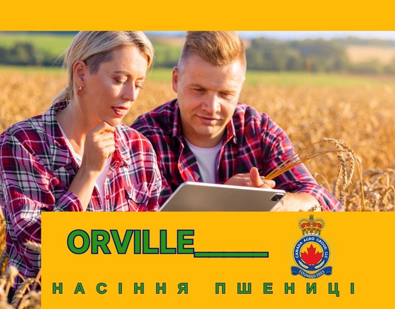 НАСІННЯ ПШЕНИЦІ ТРАНСГЕННИЙ ОЗИМИЙ СОРТ ORVILLE
