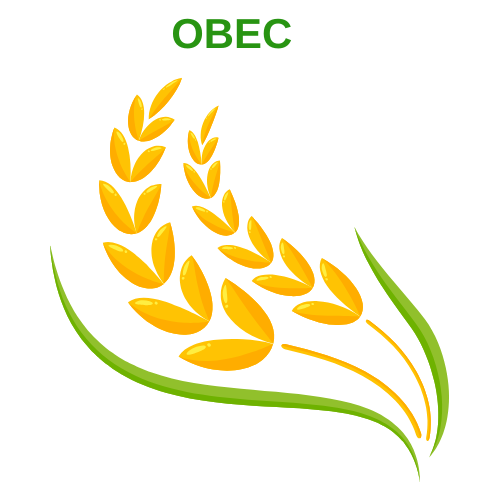 Овес