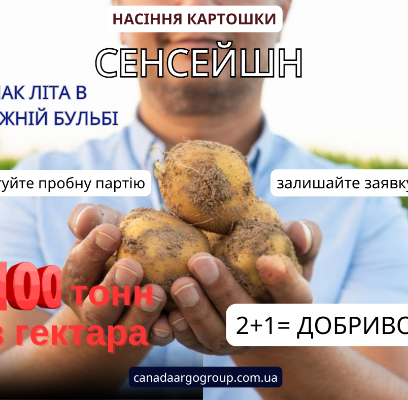 НАСІННЯ КАРТОШКИ